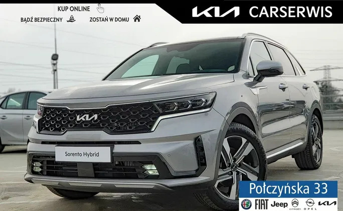 Kia Sorento cena 241900 przebieg: 2, rok produkcji 2023 z Zbąszyń